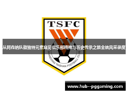 从阿森纳队徽独特元素窥见俱乐部精神与历史传承之旅全貌风采录度