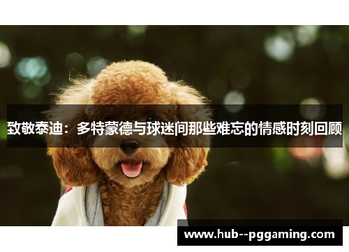 致敬泰迪:多特蒙德与球迷间那些难忘的情感时刻回顾 致敬泰迪:多特蒙德与球迷间那些难忘的情感时刻回顾