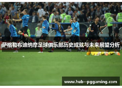 萨格勒布迪纳摩足球俱乐部历史成就与未来展望分析