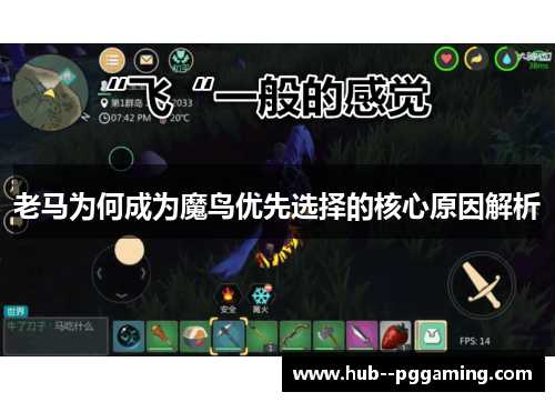 老马为何成为魔鸟优先选择的核心原因解析