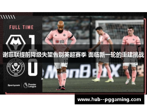 谢菲联提前降级失望告别英超赛季 面临新一轮的重建挑战