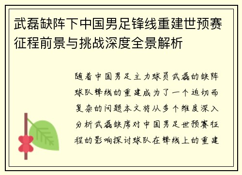 武磊缺阵下中国男足锋线重建世预赛征程前景与挑战深度全景解析